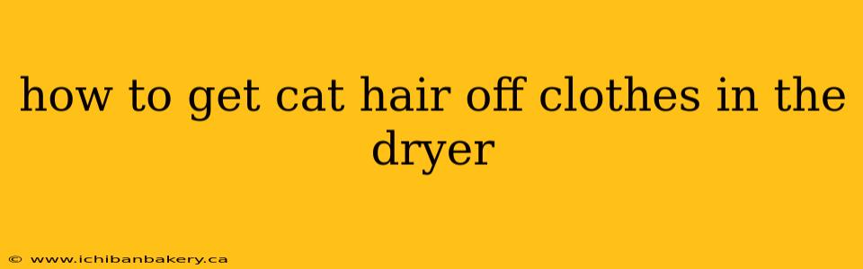 how to get cat hair off clothes in the dryer