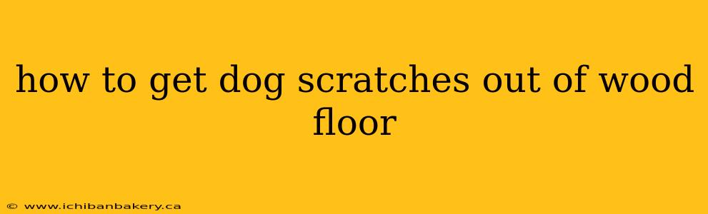 how to get dog scratches out of wood floor