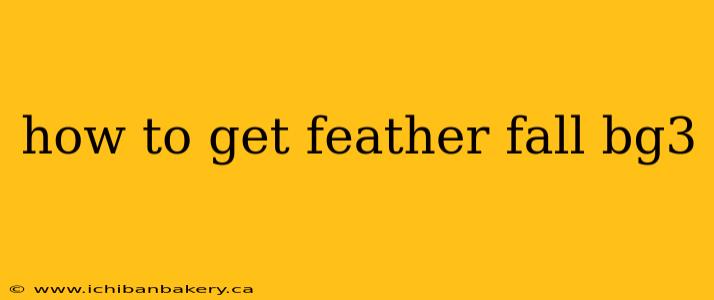 how to get feather fall bg3