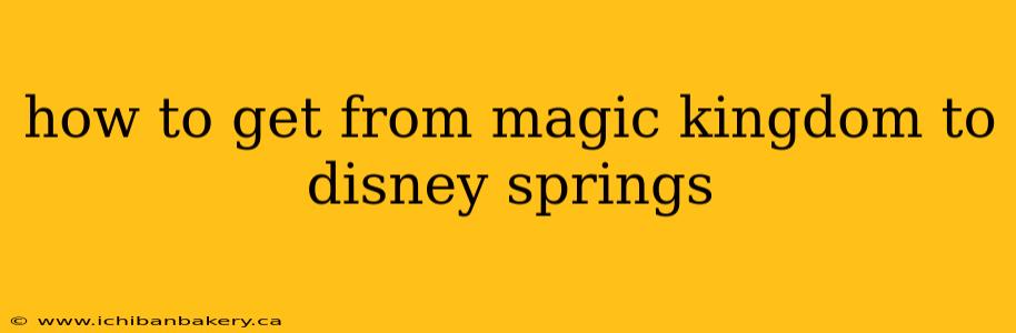 how to get from magic kingdom to disney springs