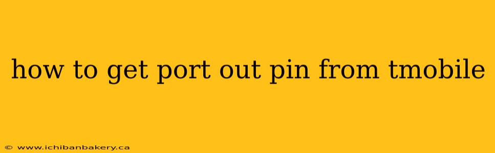 how to get port out pin from tmobile
