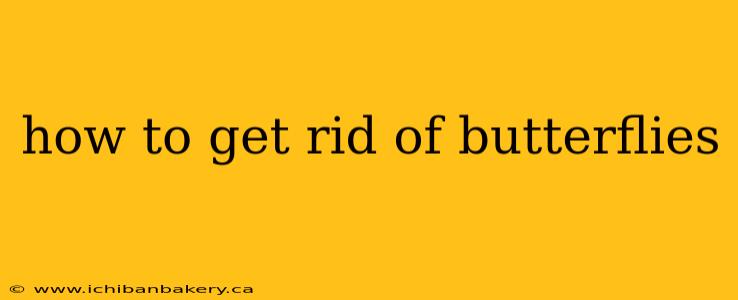 how to get rid of butterflies