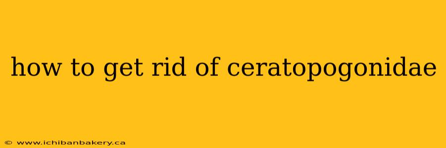 how to get rid of ceratopogonidae