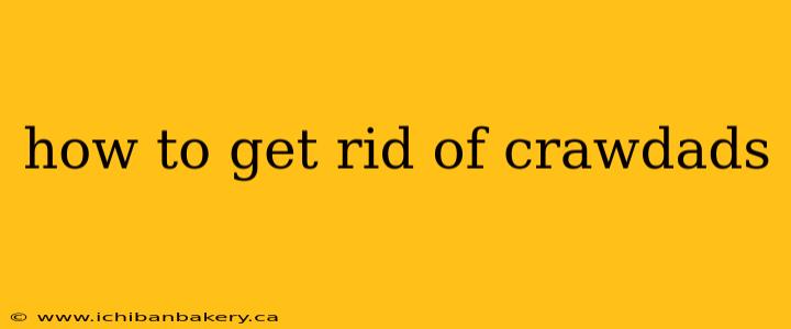 how to get rid of crawdads