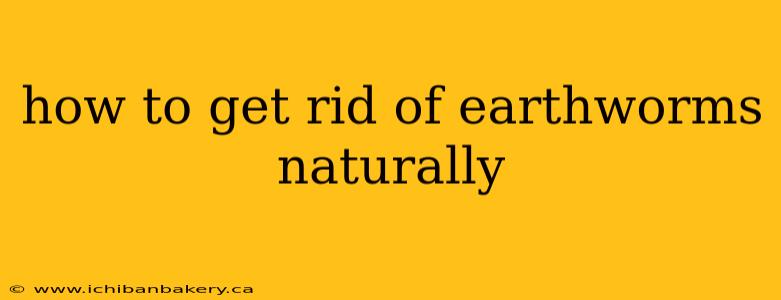how to get rid of earthworms naturally