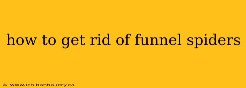 how to get rid of funnel spiders