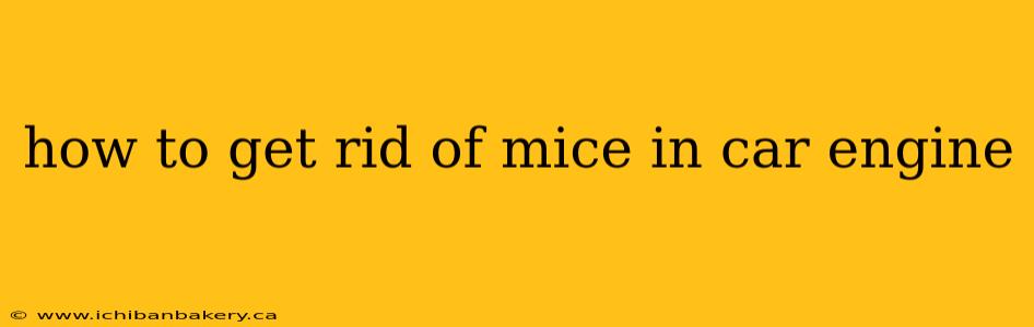 how to get rid of mice in car engine
