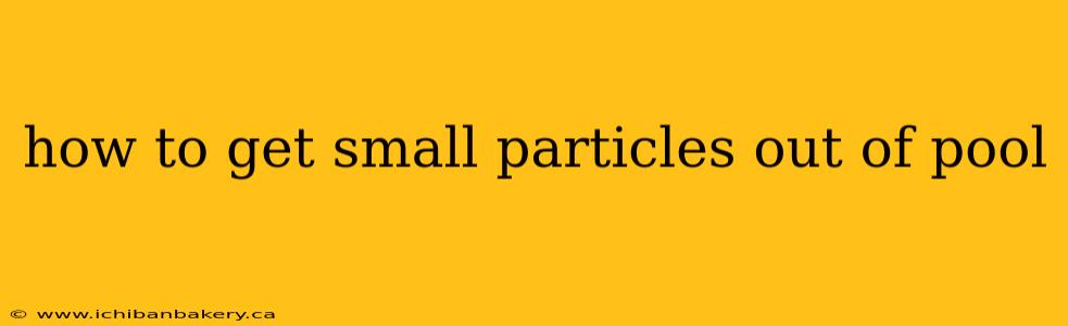 how to get small particles out of pool