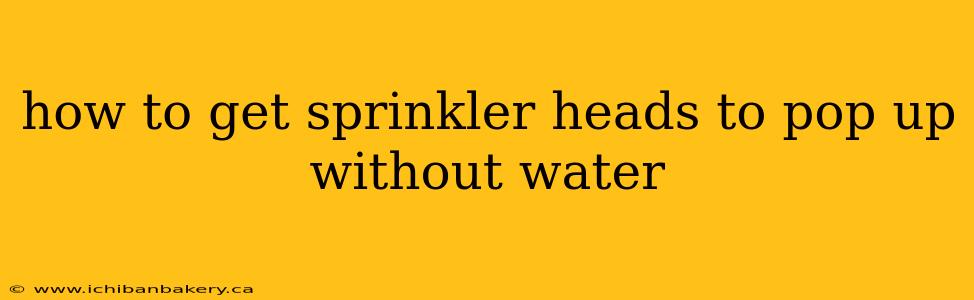 how to get sprinkler heads to pop up without water