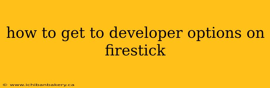 how to get to developer options on firestick