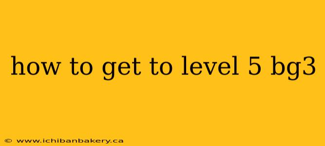 how to get to level 5 bg3