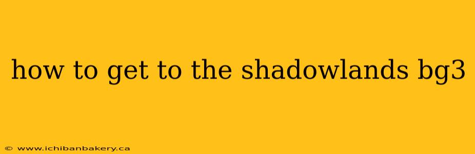 how to get to the shadowlands bg3