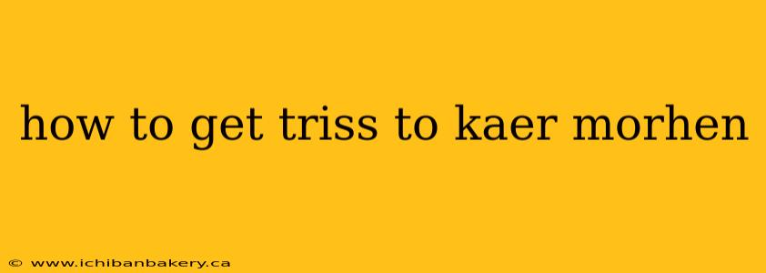 how to get triss to kaer morhen