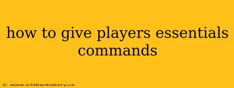 how to give players essentials commands