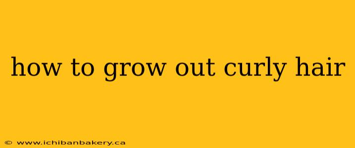 how to grow out curly hair