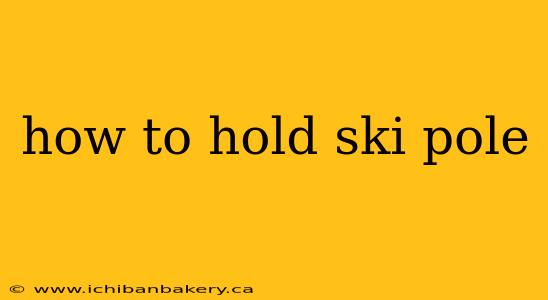 how to hold ski pole