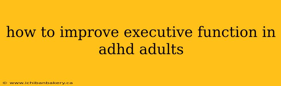 how to improve executive function in adhd adults