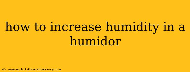 how to increase humidity in a humidor