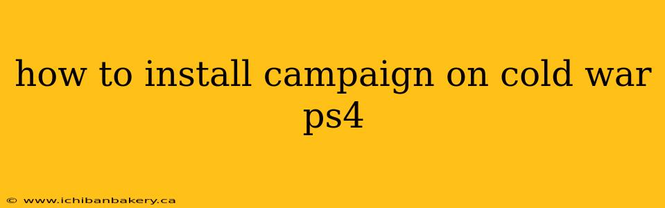 how to install campaign on cold war ps4