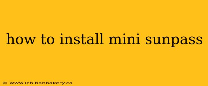 how to install mini sunpass