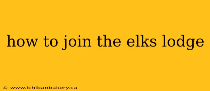 how to join the elks lodge