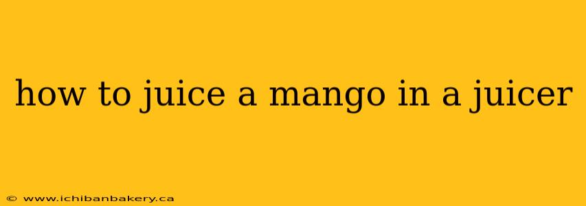 how to juice a mango in a juicer