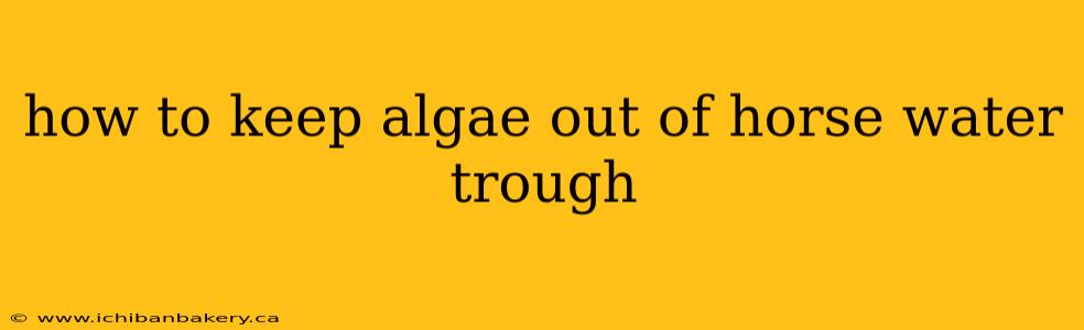 how to keep algae out of horse water trough