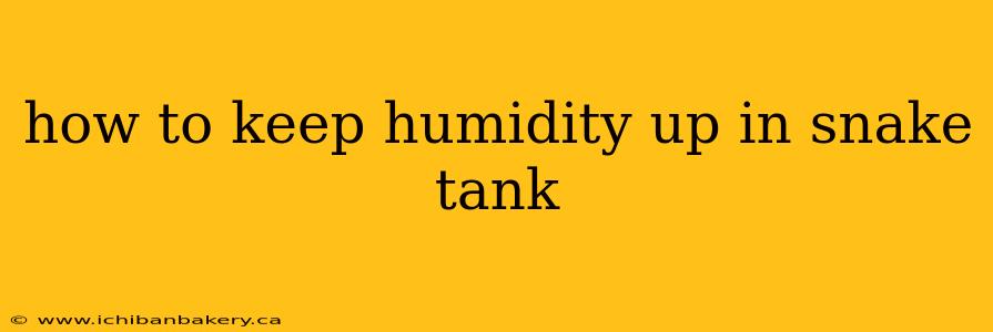 how to keep humidity up in snake tank
