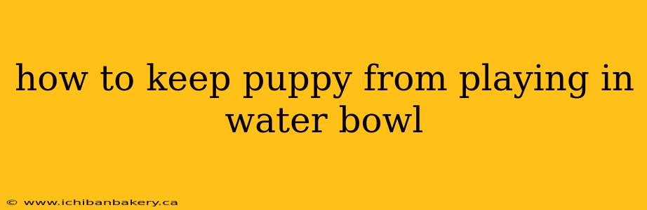 how to keep puppy from playing in water bowl