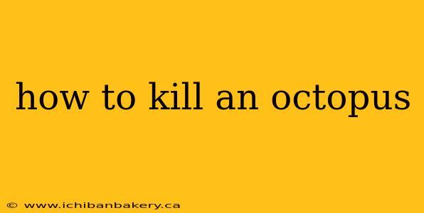 how to kill an octopus
