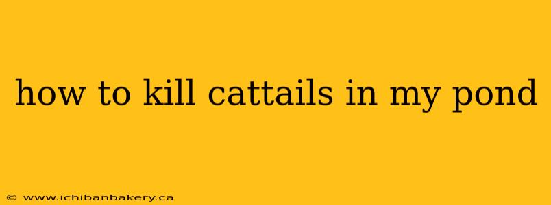 how to kill cattails in my pond