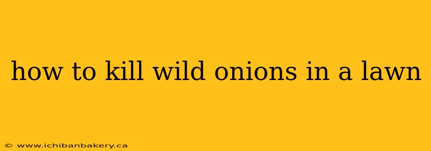 how to kill wild onions in a lawn