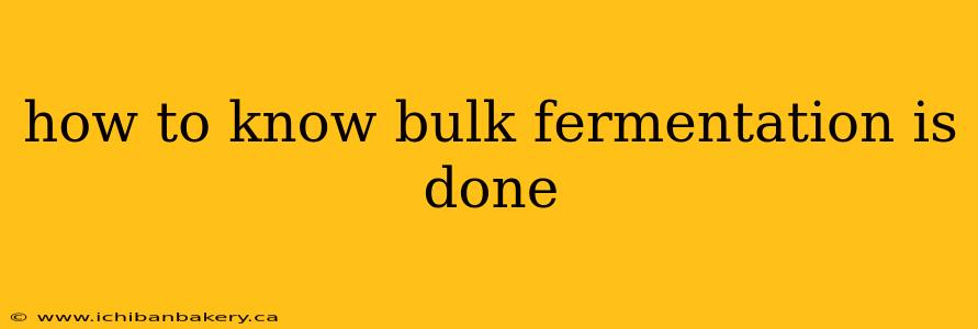 how to know bulk fermentation is done