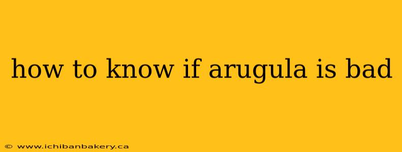 how to know if arugula is bad