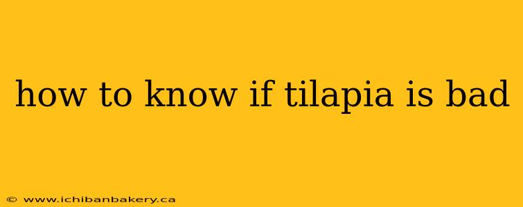 how to know if tilapia is bad