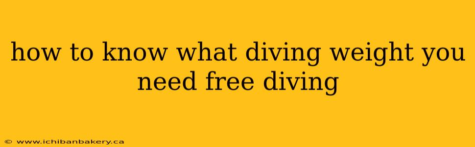 how to know what diving weight you need free diving