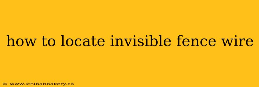 how to locate invisible fence wire