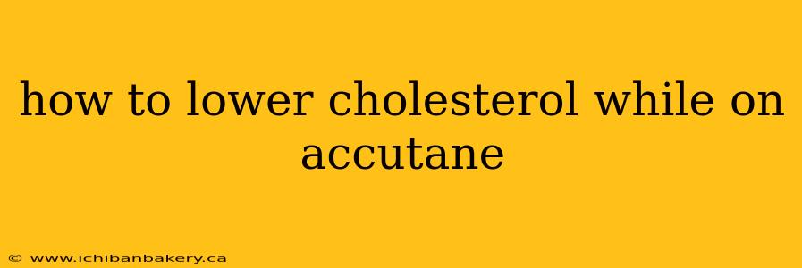 how to lower cholesterol while on accutane