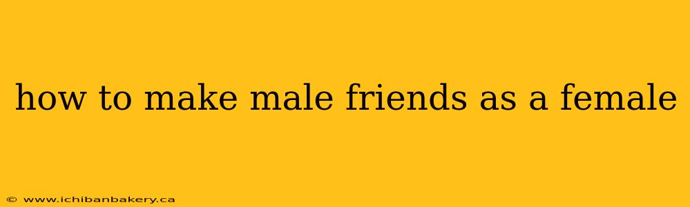 how to make male friends as a female