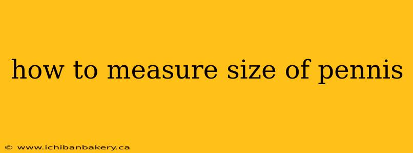 how to measure size of pennis