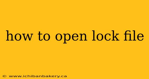 how to open lock file