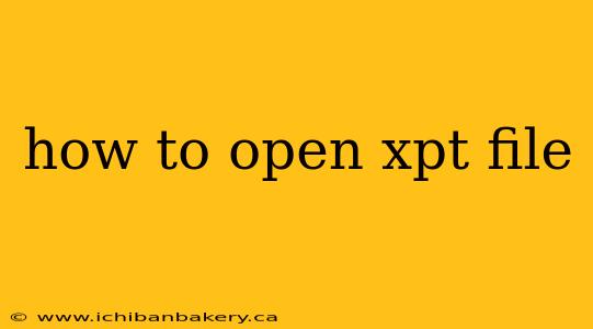 how to open xpt file