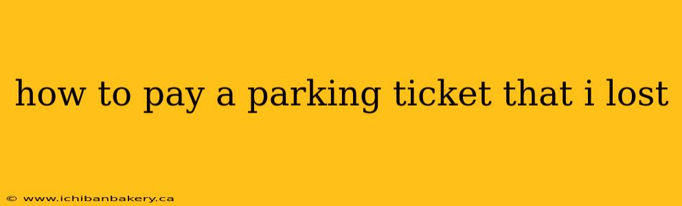 how to pay a parking ticket that i lost