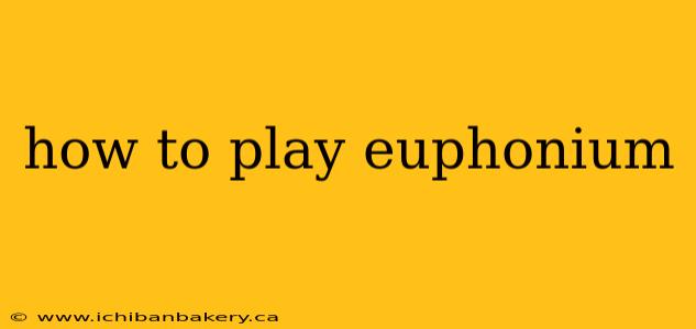 how to play euphonium