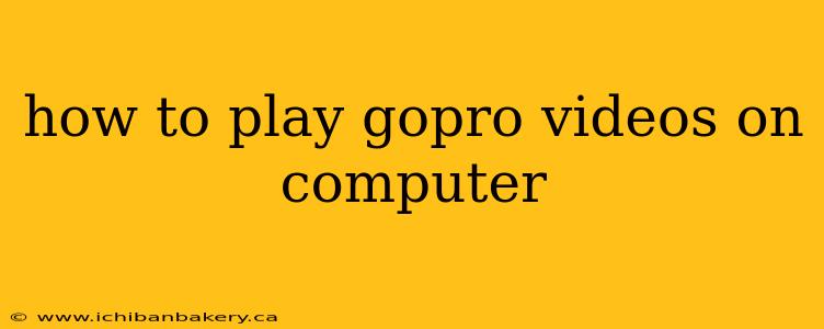 how to play gopro videos on computer