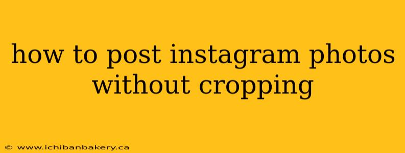 how to post instagram photos without cropping