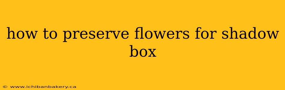 how to preserve flowers for shadow box