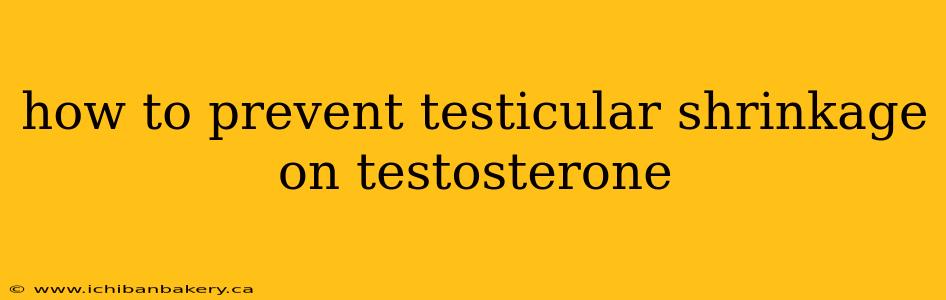 how to prevent testicular shrinkage on testosterone