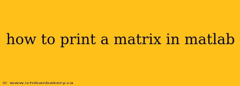 how to print a matrix in matlab
