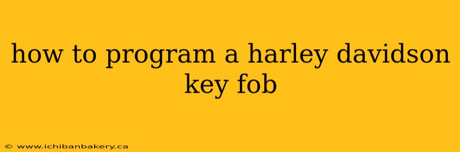 how to program a harley davidson key fob